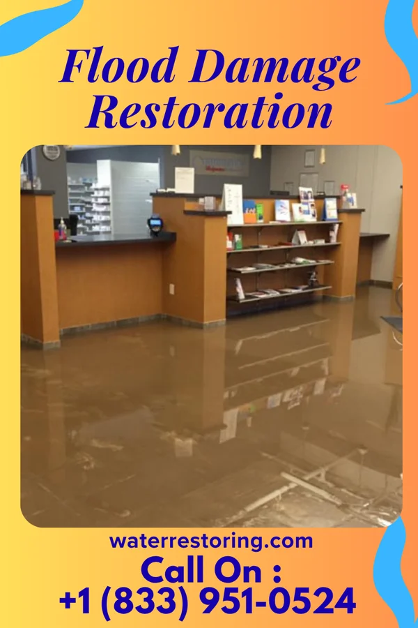 Flood Damage Restoration in Broughton, IL
