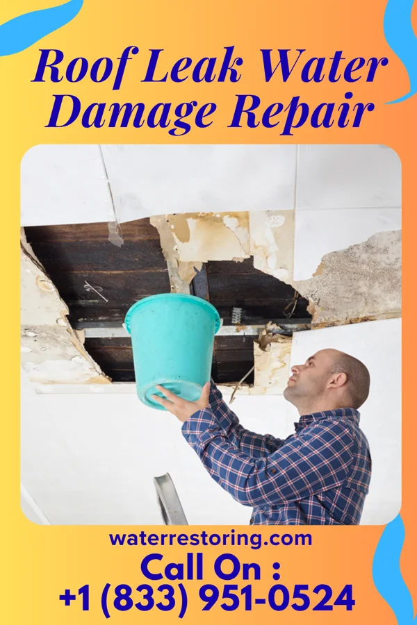 Roof Leak Water Damage Repair in Broughton, IL
